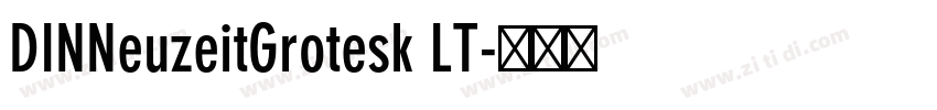 DINNeuzeitGrotesk LT字体转换 DINNeuzeitGrotesk LT字体转换